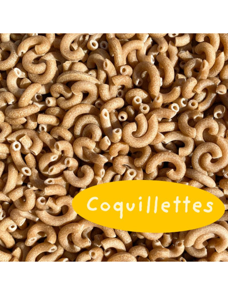 Coquillettes - 600 gr